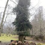 0a584252-6768-404e-850b-9258a3032da6