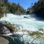 25303731-87c2-4ea1-a978-9d0ac282971a