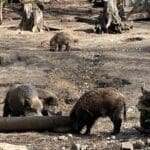 2e4406fe-0469-4fe5-8c02-d397bac82ff3