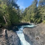 5608c8fc-48eb-43a4-af12-ecd0f36ac599