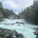 Captura de pantalla 2023-11-12 a la(s) 02.39.45