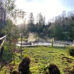 WhatsApp Image 2023-11-13 at 11.33.13