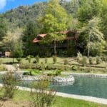 WhatsApp-Image-2023-11-13-at-11.33.18-2