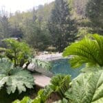 WhatsApp Image 2023-11-13 at 11.33.19