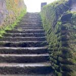 WhatsApp Image 2023-11-13 at 16.08.05