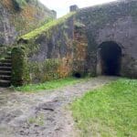 WhatsApp Image 2023-11-13 at 16.08.05(2)